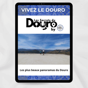GUIDE 2. Les plus beaux panoramas du Douro